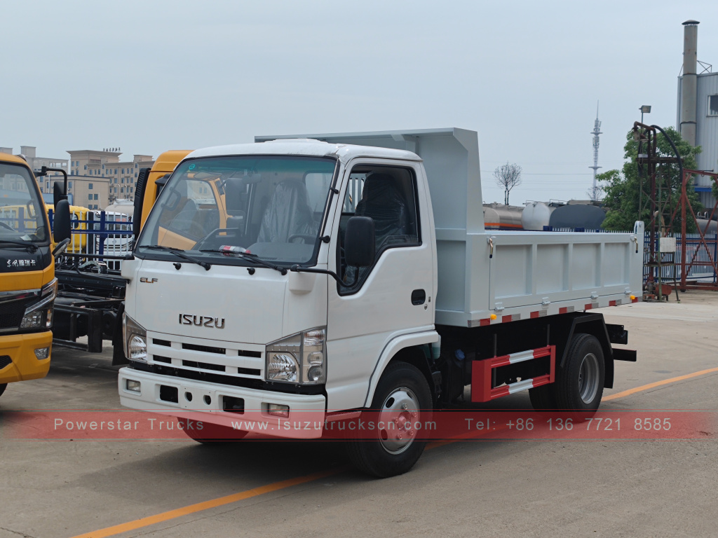 Philippinen ISUZU 4X2 6-Rad-Muldenkipper 2T 3T 5T ​​Kipper Mini Cargo Truck zu verkaufen