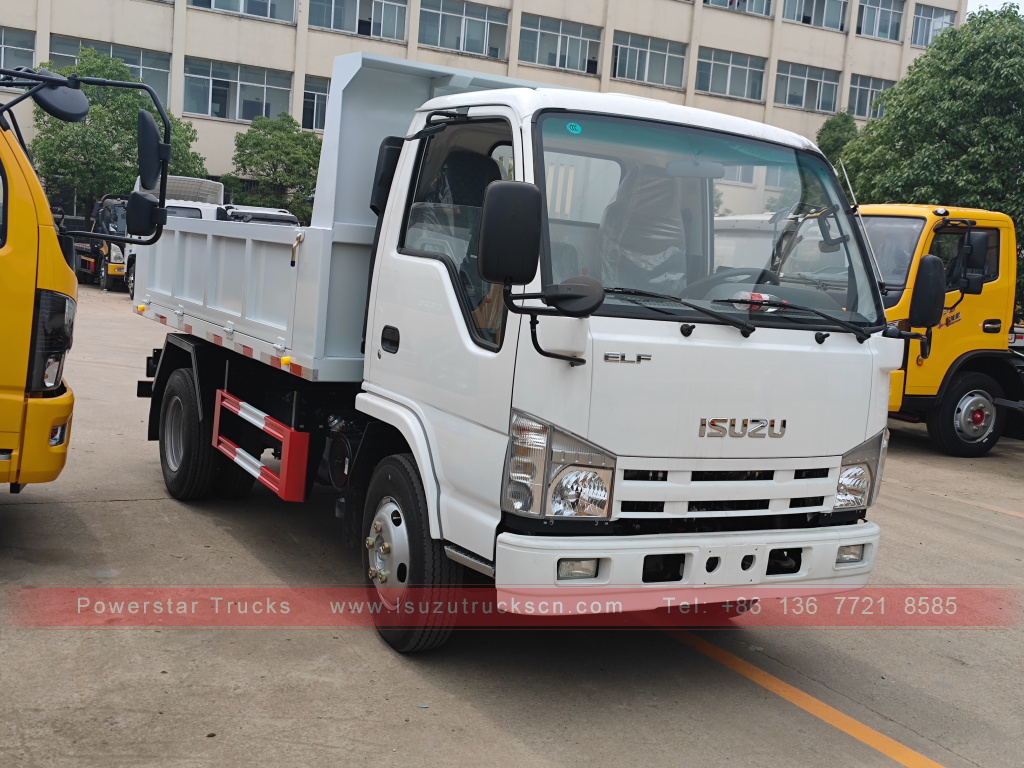 Philippinen ISUZU 4X2 6-Rad-Muldenkipper 2T 3T 5T ​​Kipper Mini Cargo Truck zu verkaufen