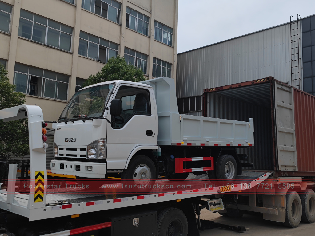 Philippinen ISUZU 4X2 6-Rad-Muldenkipper 2T 3T 5T ​​Kipper Mini Cargo Truck zu verkaufen