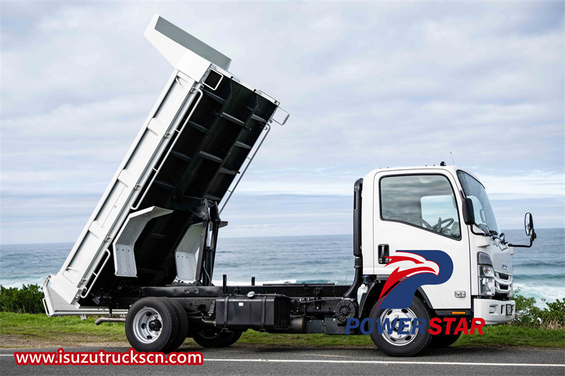 Isuzu ELF dump lorry truck