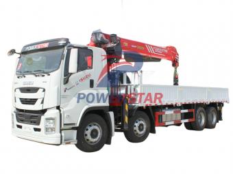 Isuzu Giga hydraulic stiff boom loader crane Palfinger