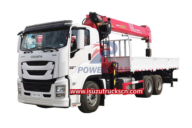 
     Philippinen Isuzu Giga Boom Kran Fracht LKW Anwendung
    