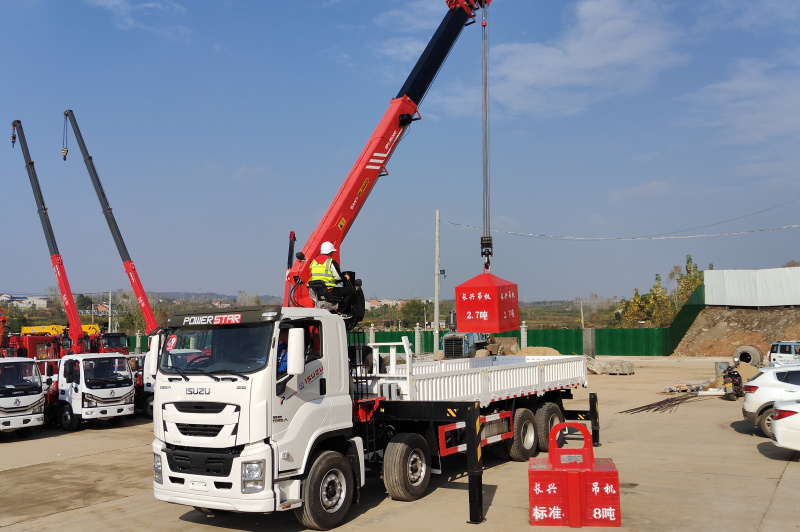 
     Isuzu Giga mit Palfinger SPS30000 Hydraulik-LKW-Auslegerkran
    