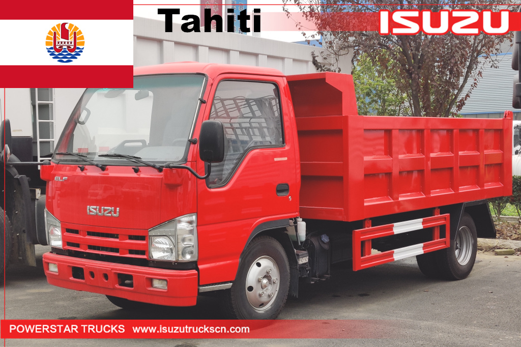 
     Tahiti – 1 Stück ISUZU Mini Elf Muldenkipper
    